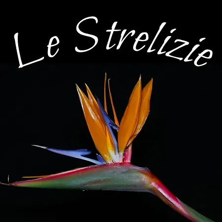 Le Strelizie * Arnesano