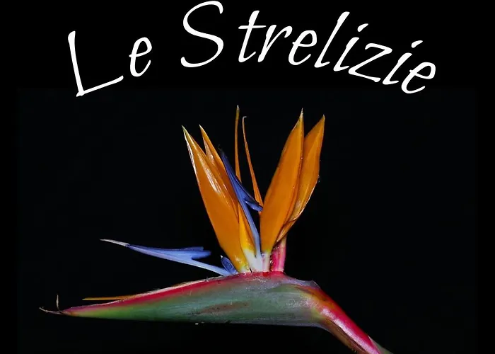 Le Strelizie * Arnesano